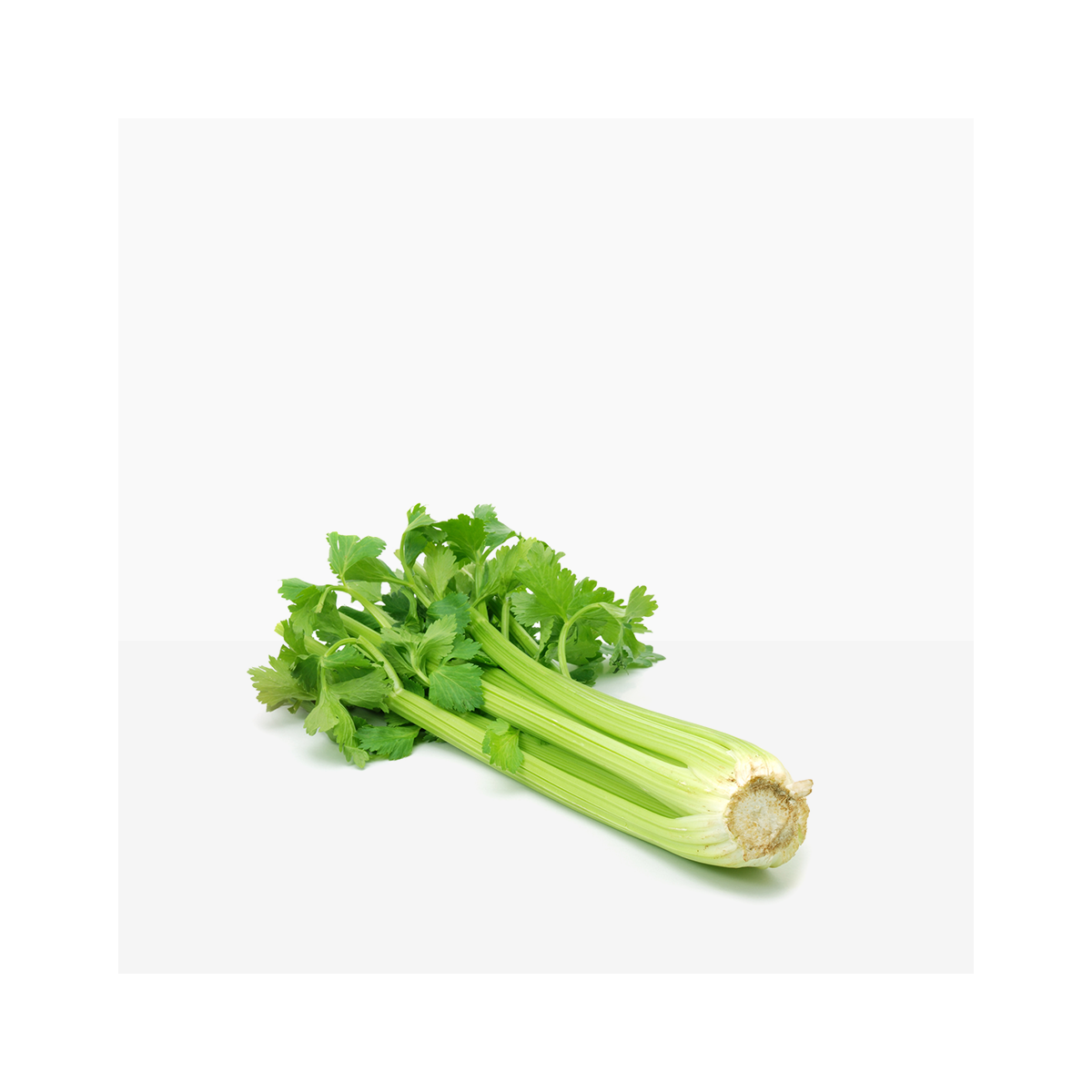 Celery