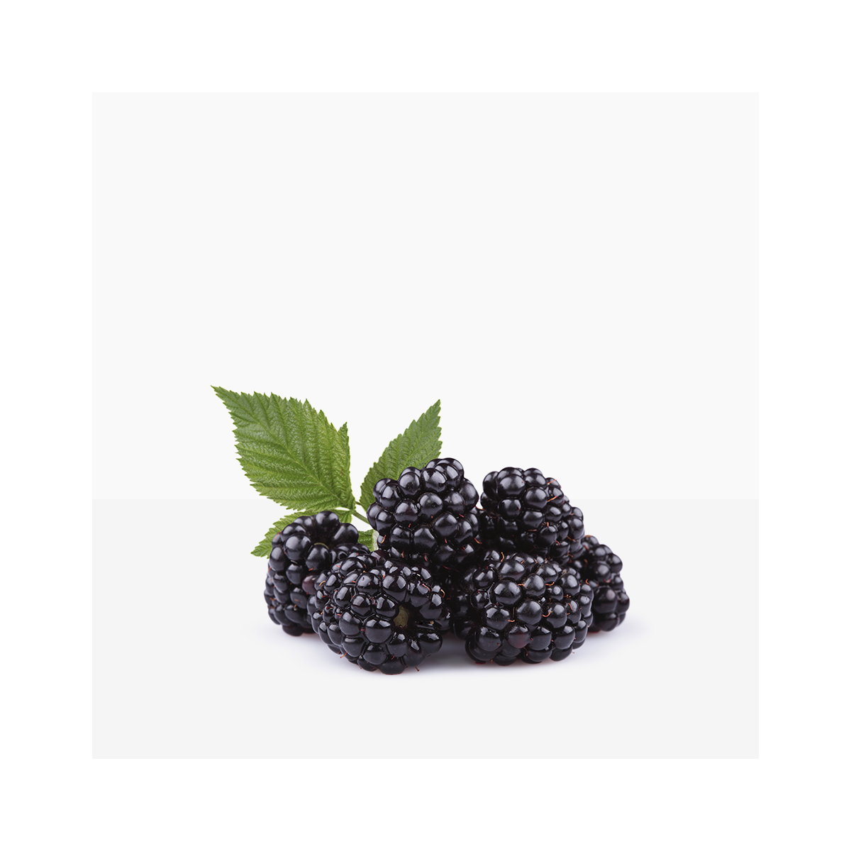 Blackberries